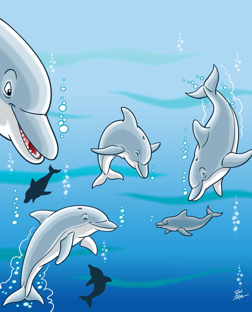 02SO08-Dolphins